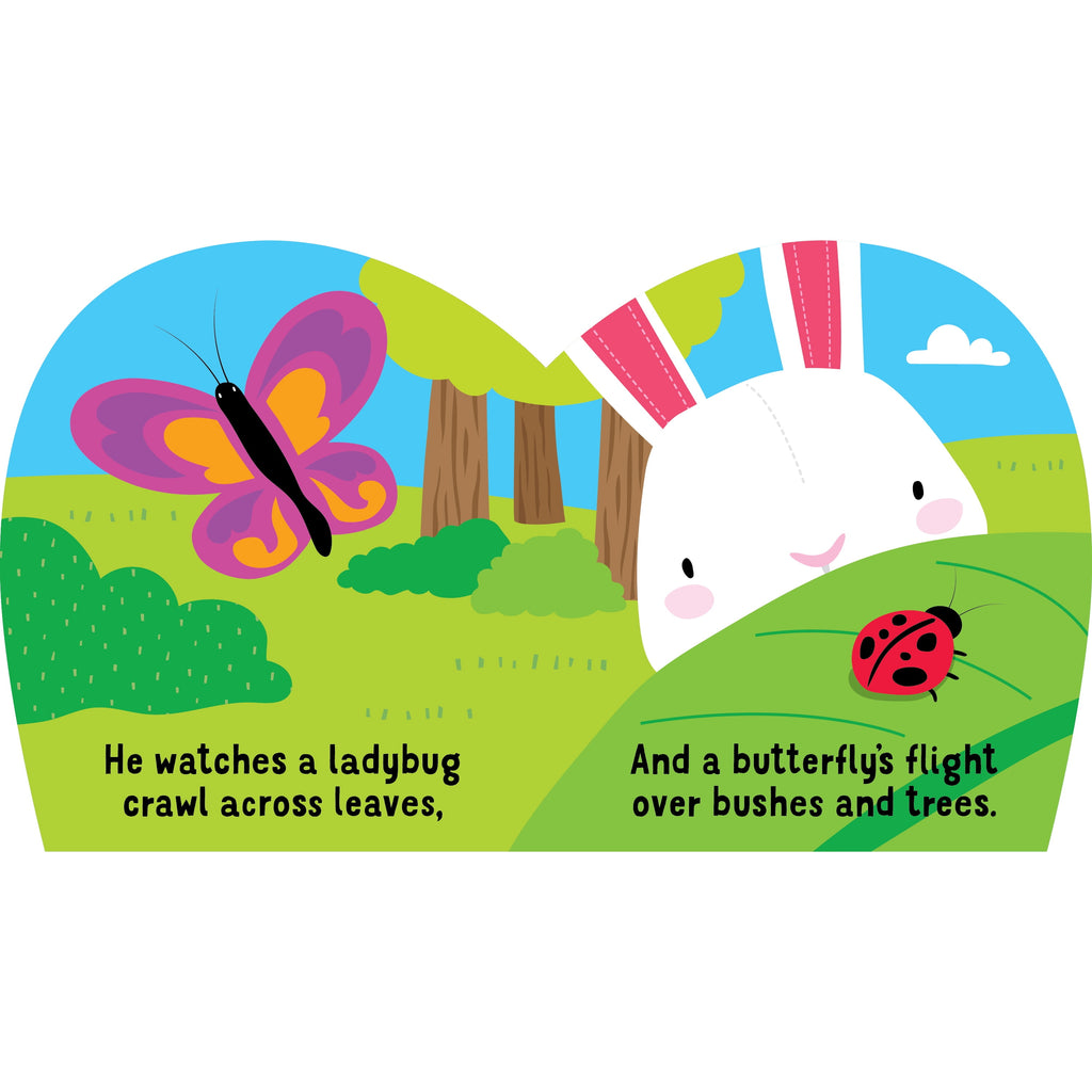 Easter Bunny and Baby Chick Shaped Baby Books by Bendon, 2-Count